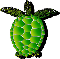 1061 - Large Sea Turtle - 1061